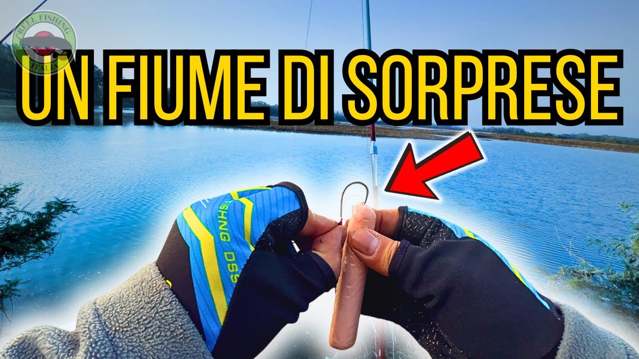 UN FIUME DI SORPRESE! Pesca sul Po tra esche assurde e catture inaspettate