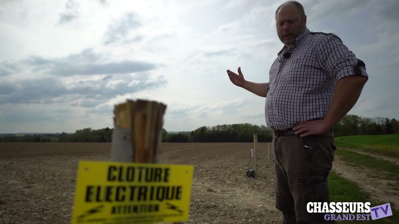 Implanter et entretenir une clôture électrique pour protéger les cultures du gibier