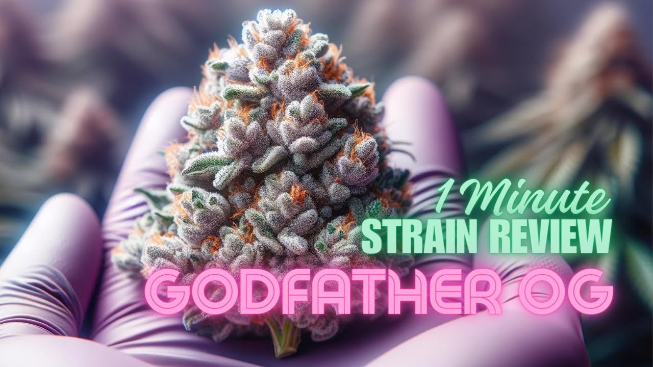 Godfather OG | 1 Minute Strain Review