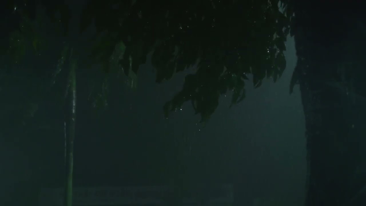 Gentle Rain Sounds for Sleeping, Find Sleep and Wake Up Refreshed BLACK SCREEN