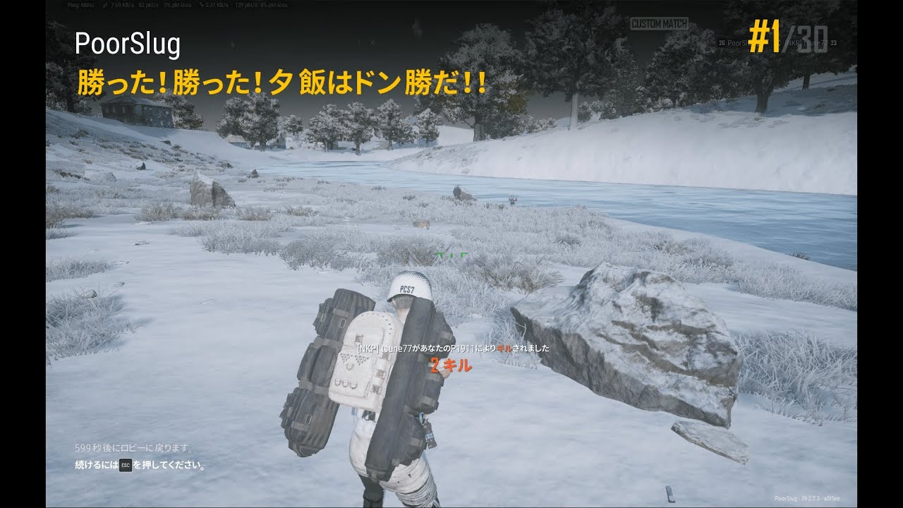 【PUBG】133勝目【ぬかりんぴっく】