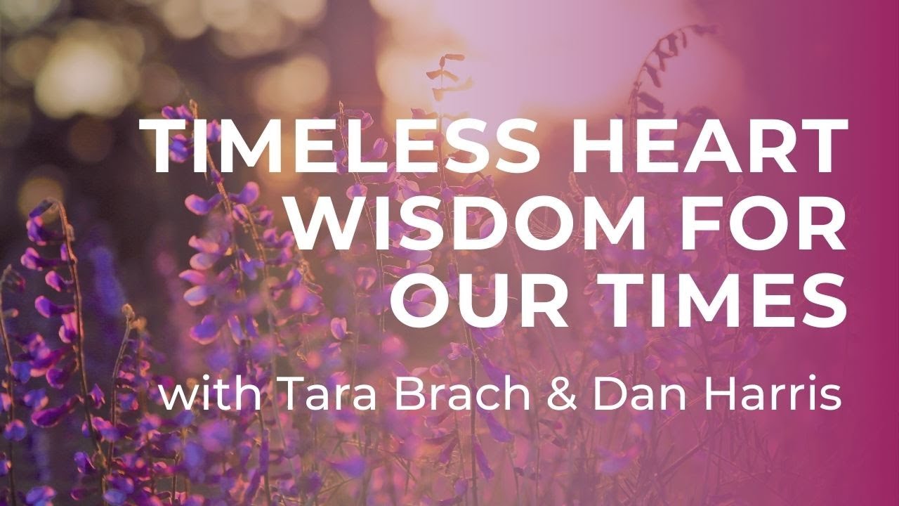 Timeless Heart Wisdom for our Times with Tara Brach & Dan Harris