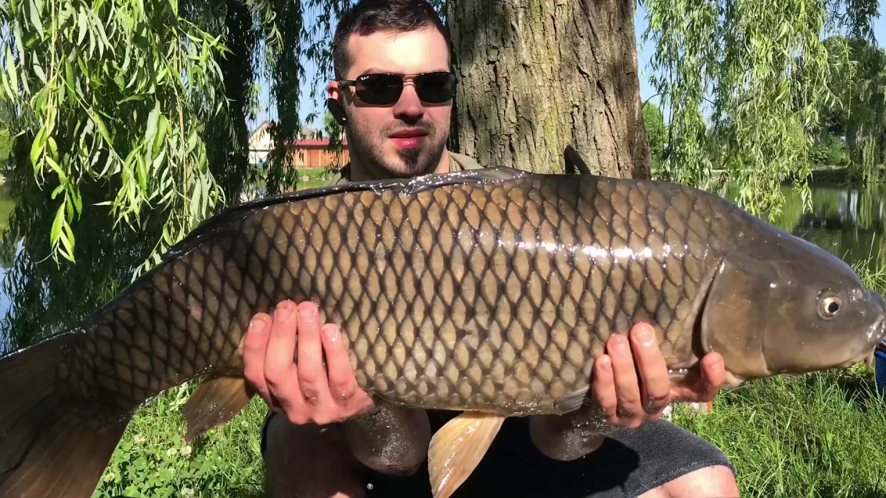 Carpfishing 2018 ai Laghi azzurri  parte 1