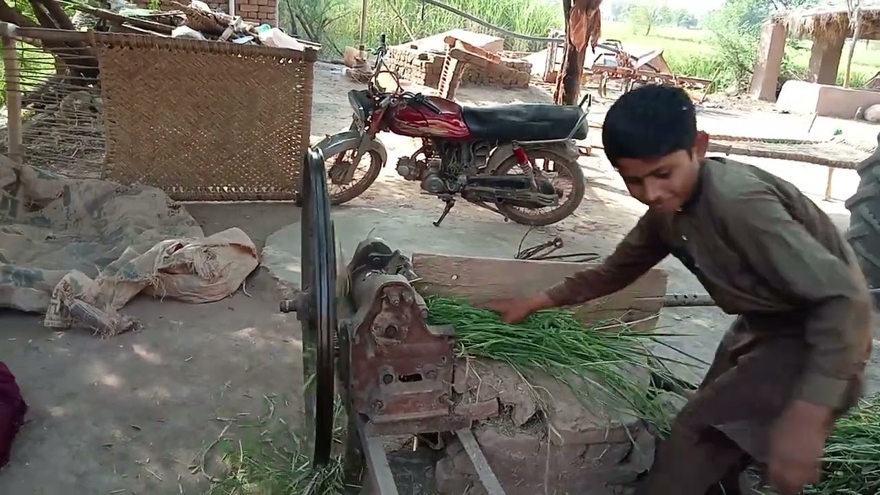 ٹریکٹر کے ساتھ جانوروں کا گاس کاٹنا