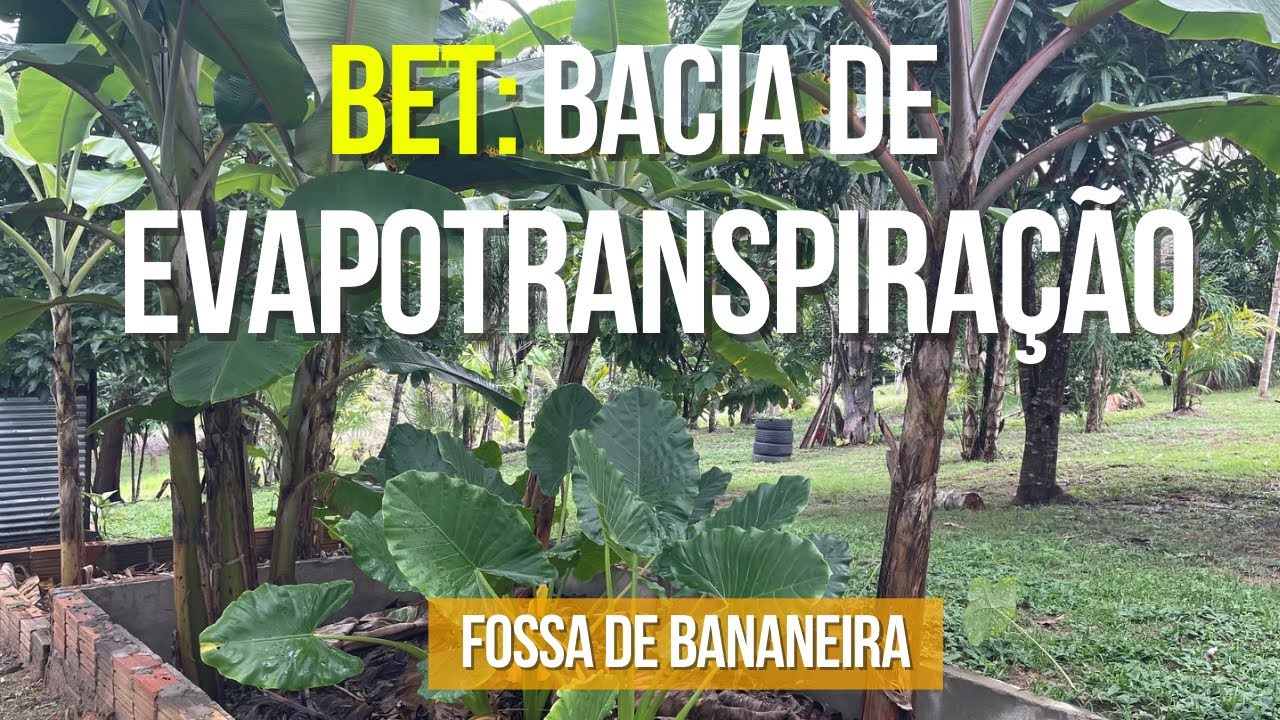 FOSSA DE BANANEIRA | FOSSA ECOLÓGICA | BET - Bacia de evapotranspiração