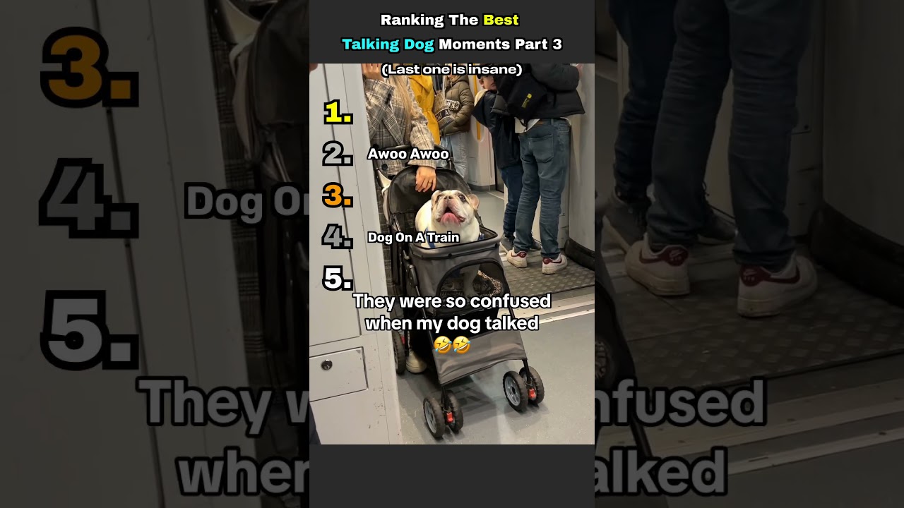 Ranking The Best Talking Dog Moments Part 3