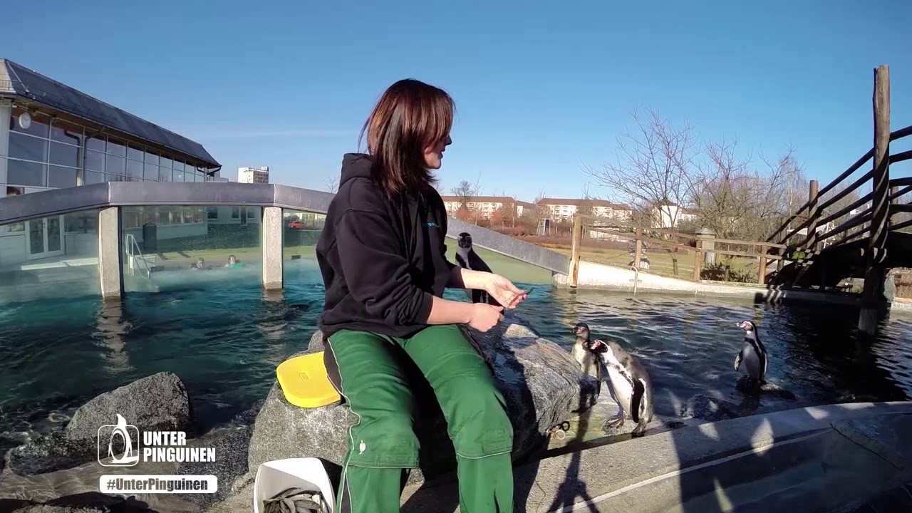 Unter Pinguinen Folge 1