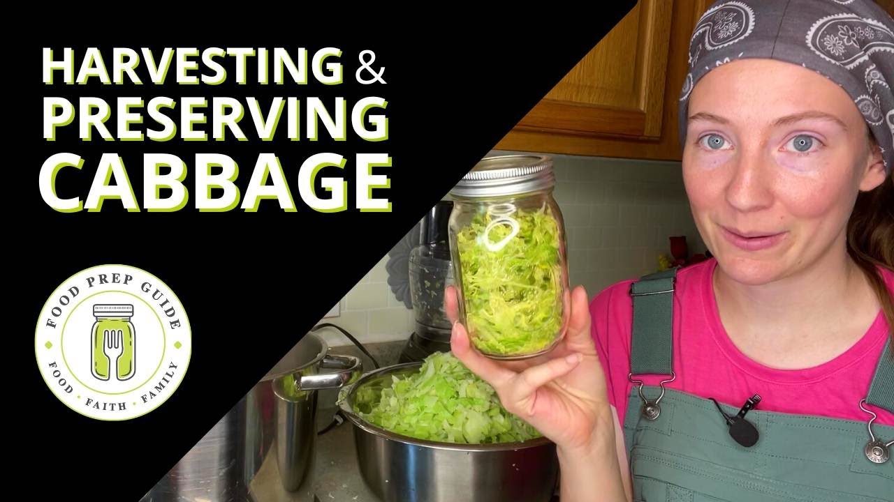 How to Preserve Cabbage Without Canning