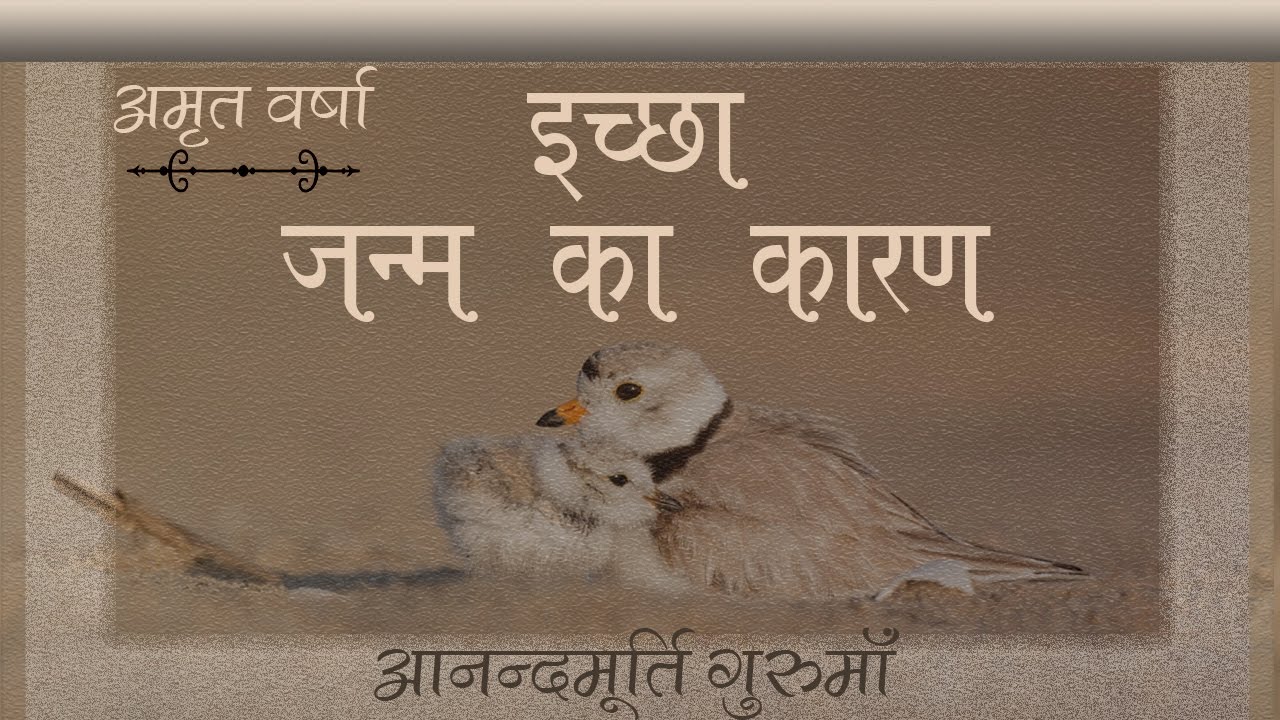 Daily Satsang: Amrit Varsha Ep 1750 (10 May 2017)