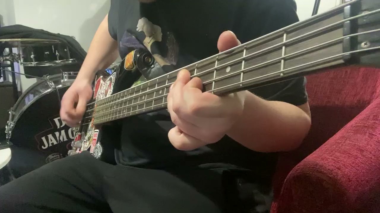 Run to you - Bryan Adams/ Bass cover