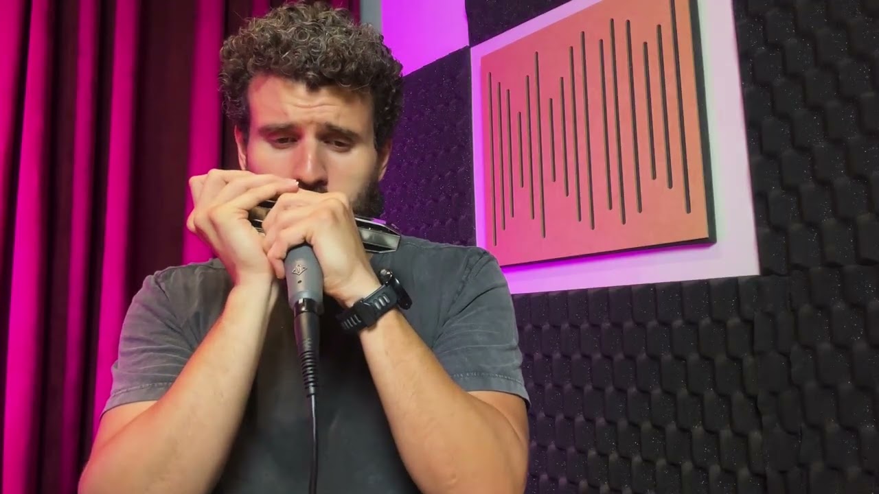 Vibrações (Jacob do Bandolim) - Gaita Cromática | Paulo Lessa