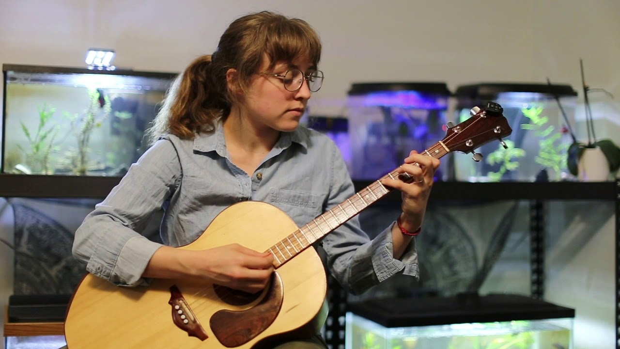 Crested Hens - French tune played on a handmade applewood tenor guitar