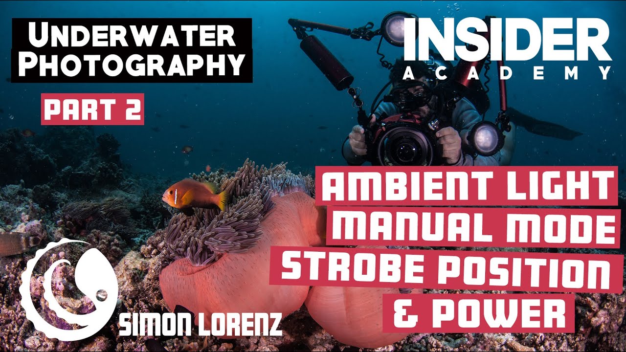Underwater Photography - Part 2 - Ambient Light, Manual Mode, Artificial Light