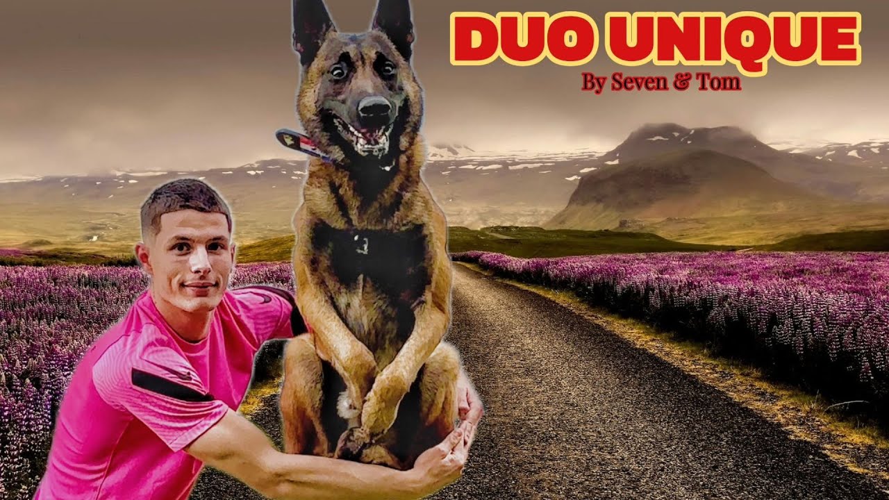 Seven et Tom : Le Duo Unique ! 🐶✨