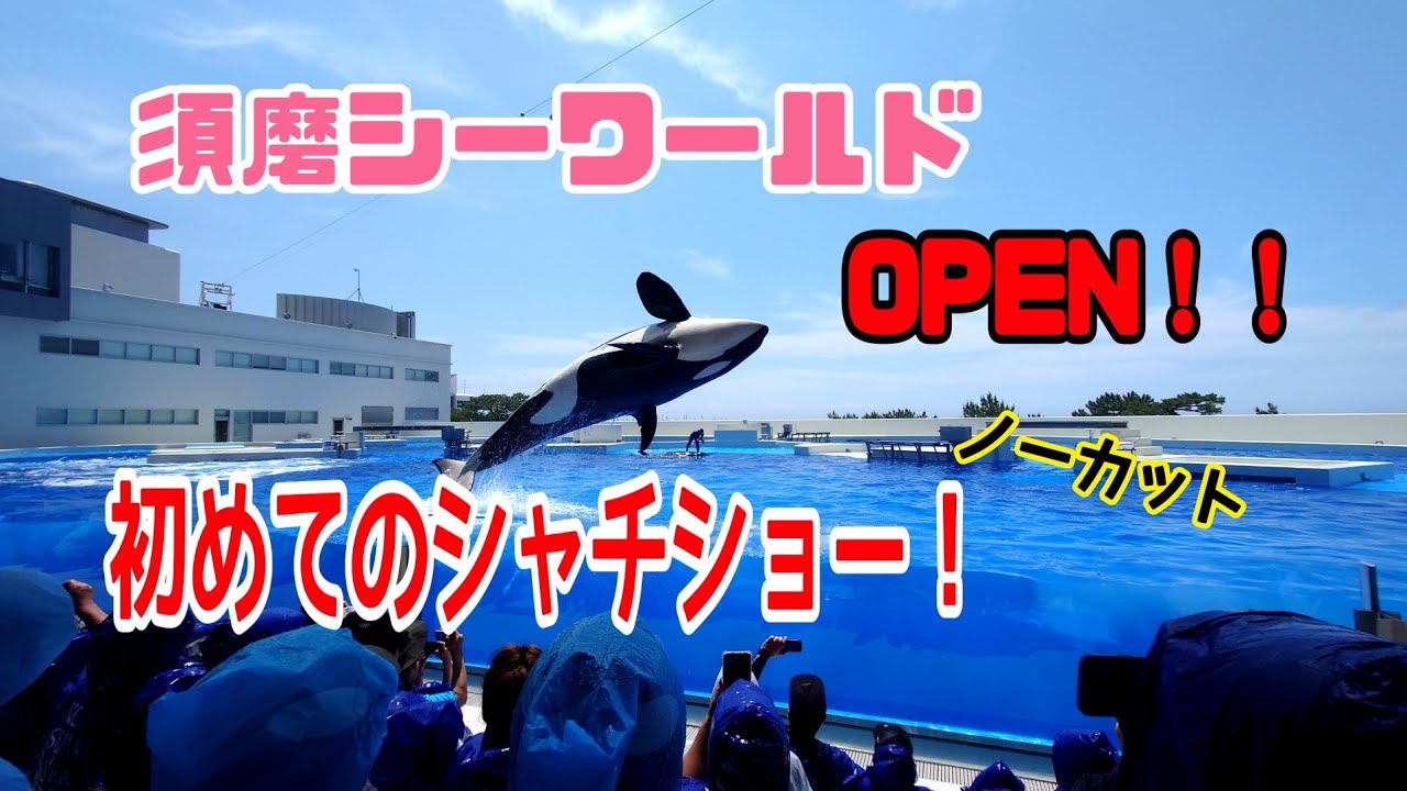 須磨シーワールドGRAND OPEN！初回シャチショー！　ノーカット版