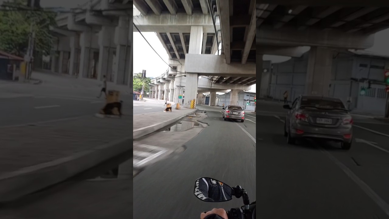 Araneta avenue