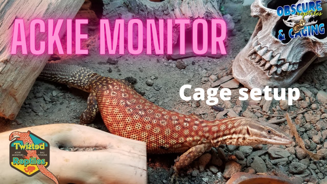 Ackie Monitor setup