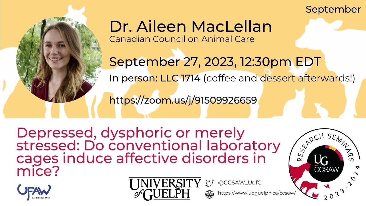 Depressed, dysphoric or merely stressed | Dr. Aileen MacLellan
