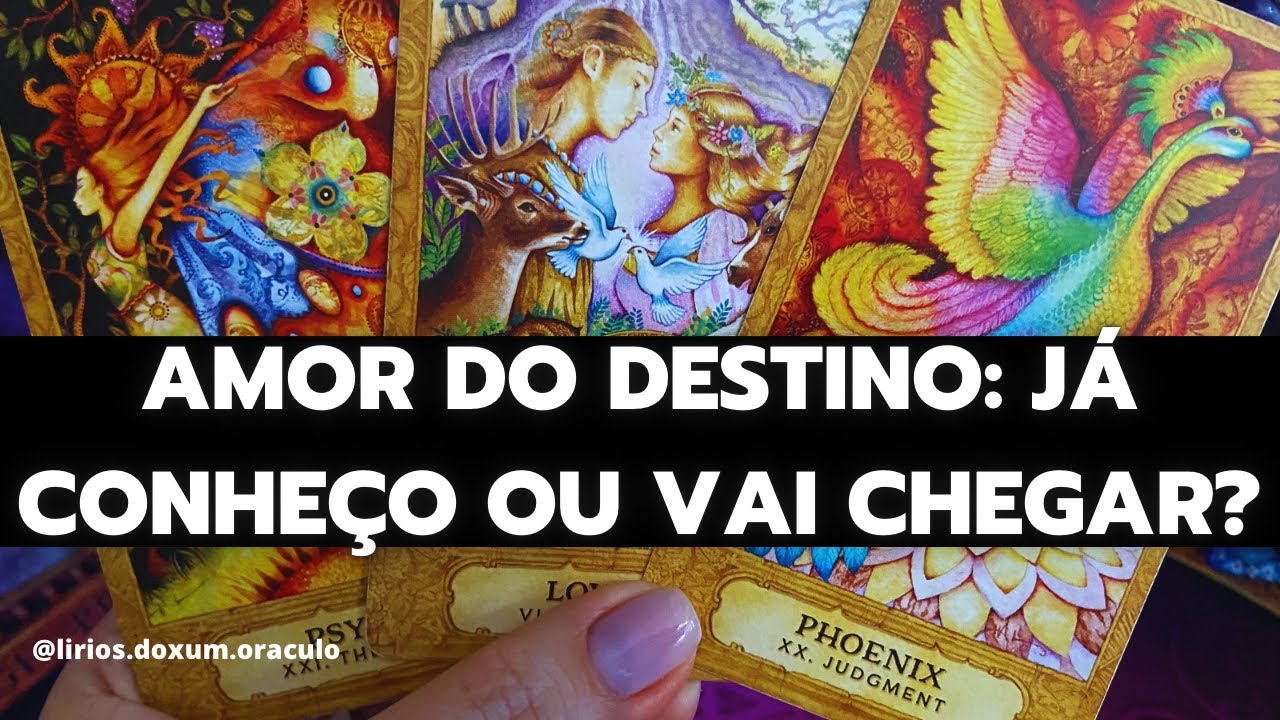 AMOR DO DESTINO: JÁ CONHEÇO ou VAI CHEGAR? 💫♥️🔮