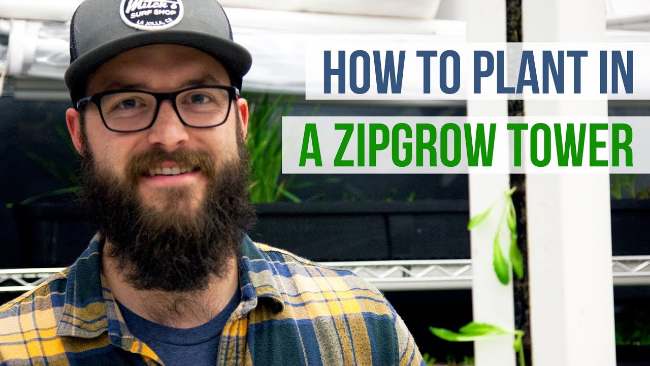 Как сажать растения в башне ZipGrow™