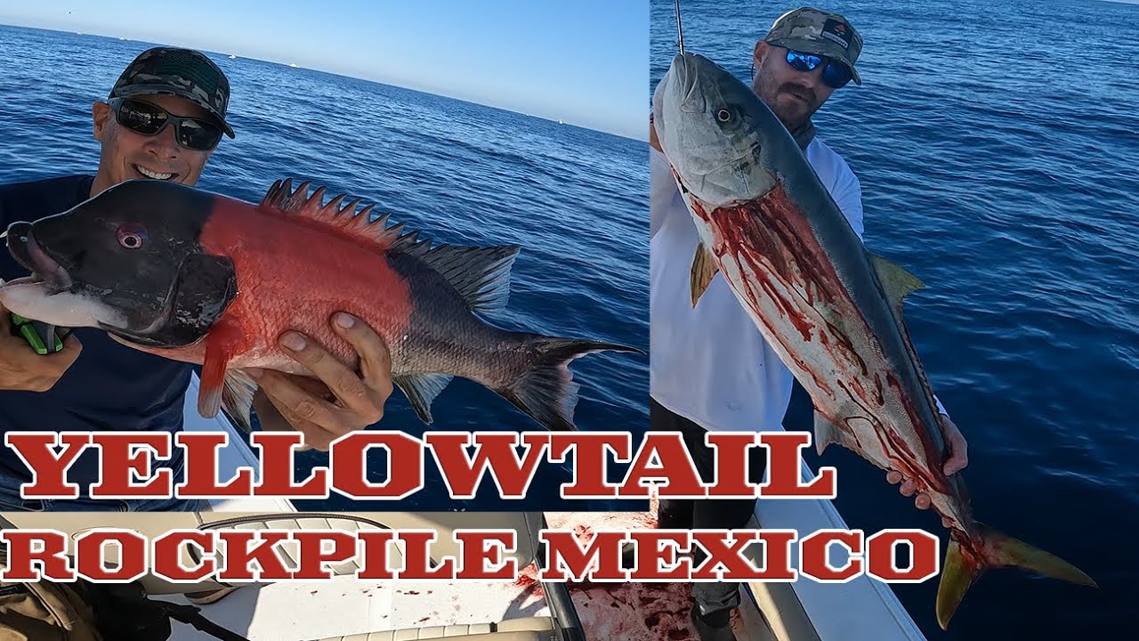 9/7/2025 Rockpile and Coronado Islands Mexico with John and Justin. Yellowtail and rockfish.