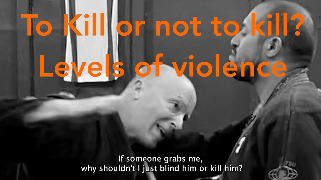 Levels of violence - Why Ninjutsu is a mature system? - Yossi Sheriff, AKBAN