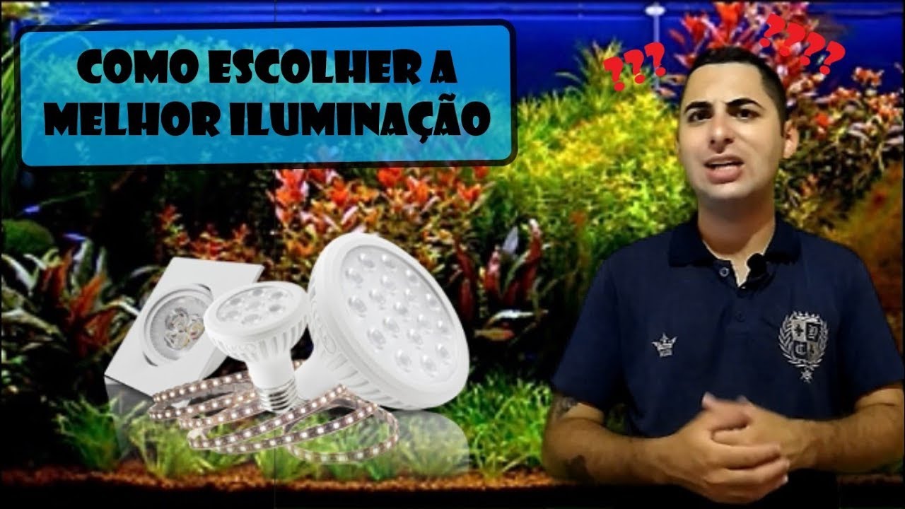 Como Escolher a Melhor iluminação para o Seu Aquário