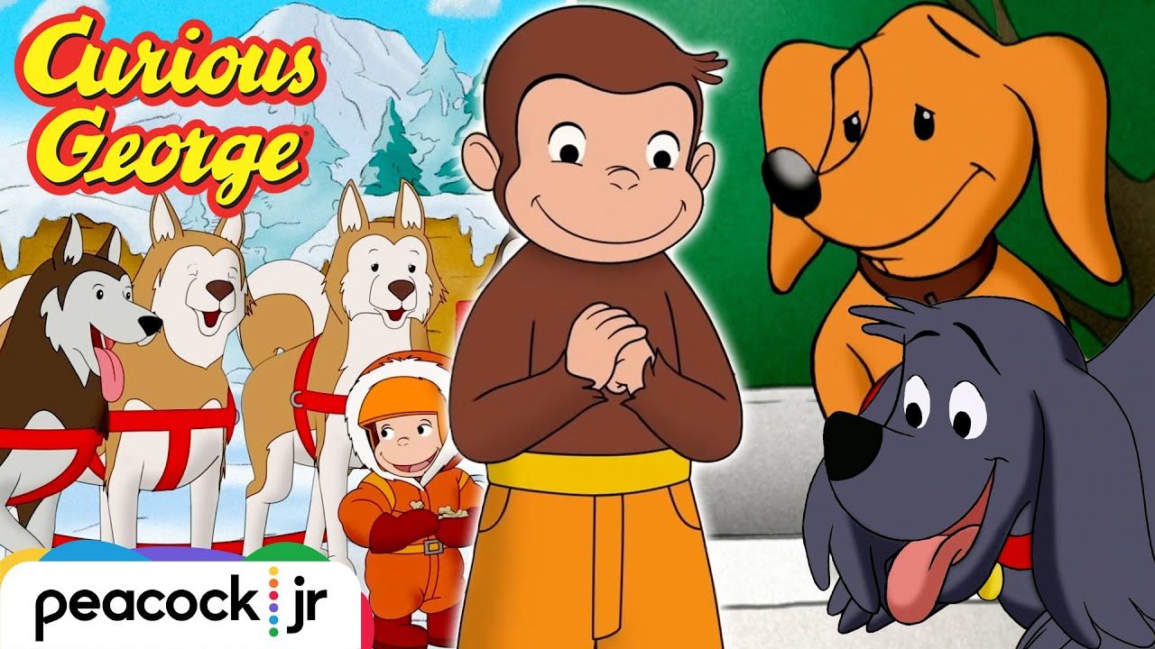 Monkeys & Dogs 💛🐵🐶🤎 Best Dog Moments with George! | CURIOUS GEORGE