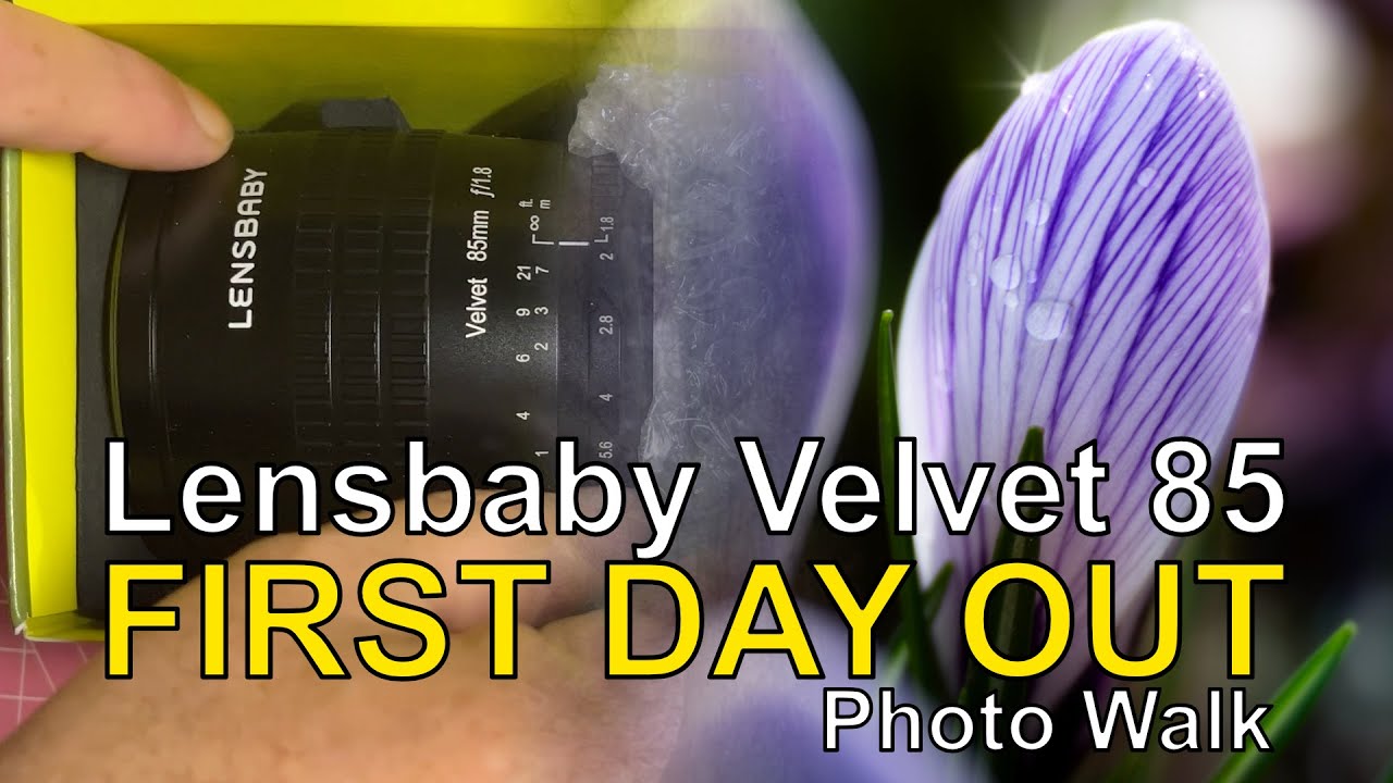 Getting the Perfect Flower Shot with the Lensbaby Velvet 85mm