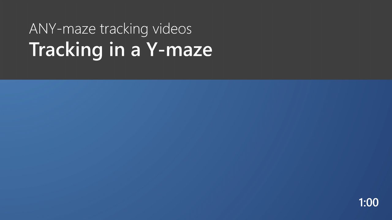 Tracking in a Y-maze