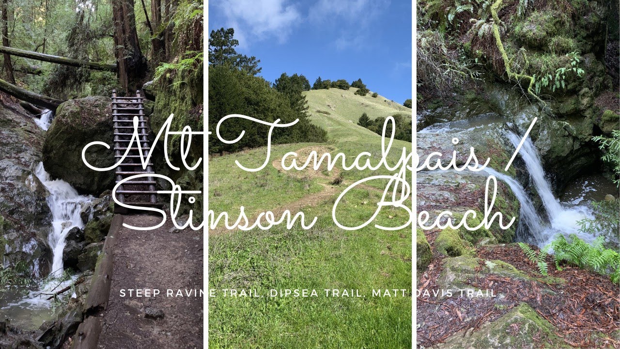 Mount Tamalpais State Park - Pantoll / Stinson Beach Loop - Steep Ravine, Dipsea, Matt Davis Trail