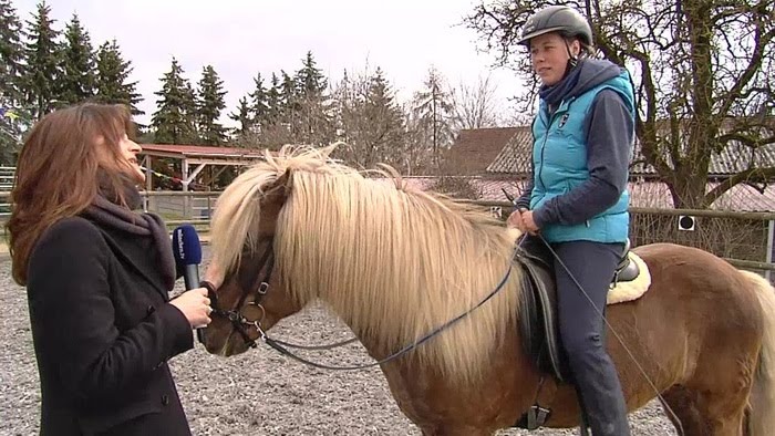 Reichersdorf bei Mauern - Islandpferde bei Familie Franz - Ortschaft der Woche