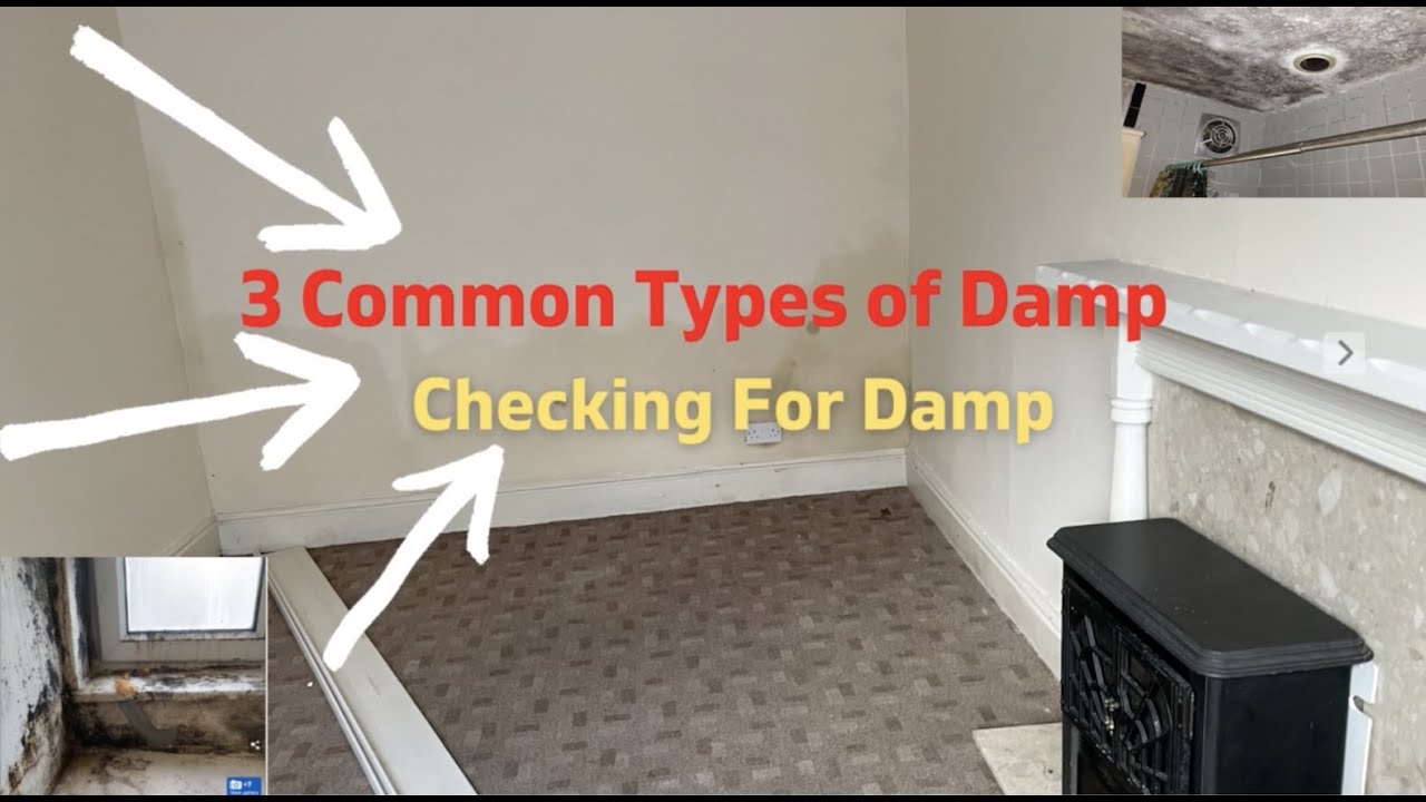 What To Look For When Buying An Investment Property [3 Types Of Damp]  Beware