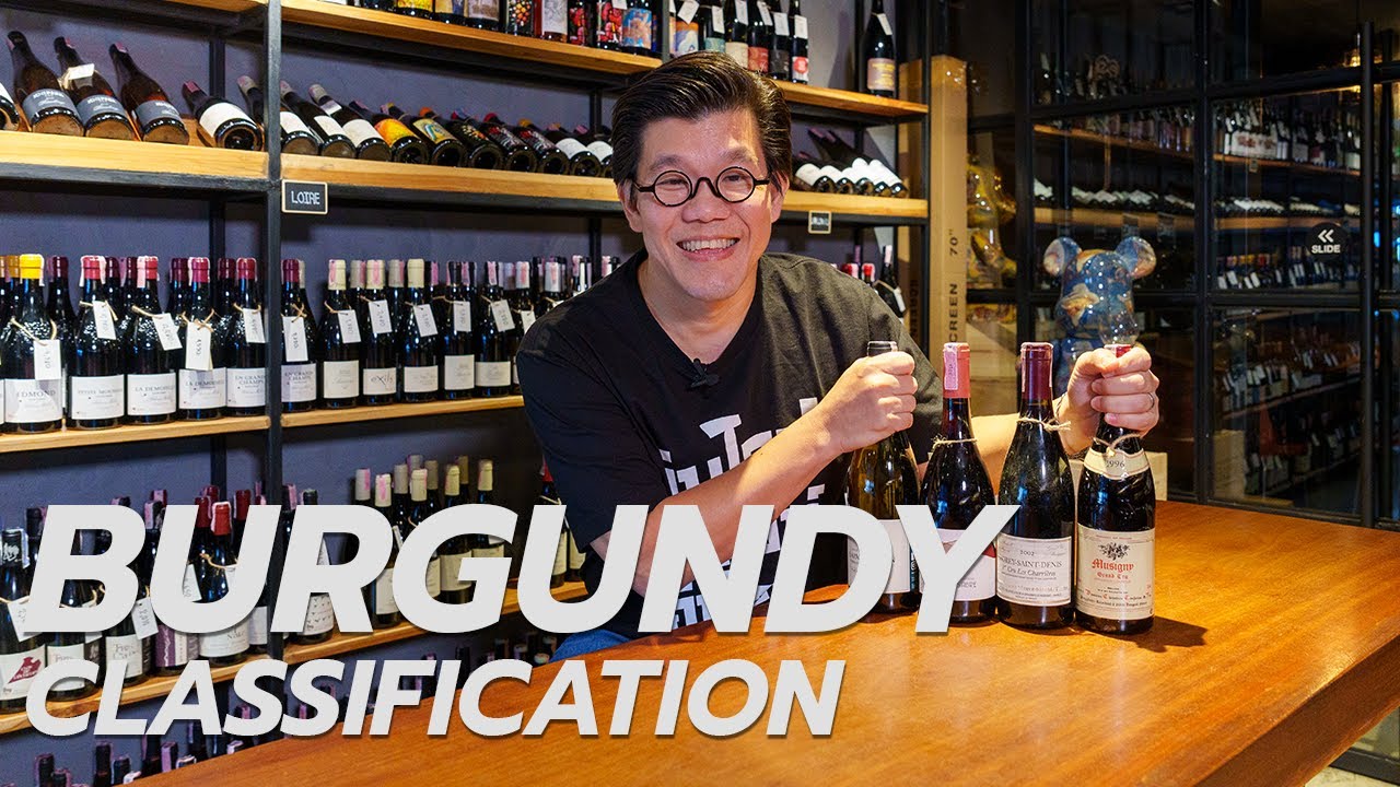 Burgundy Classification | Swirl Experience