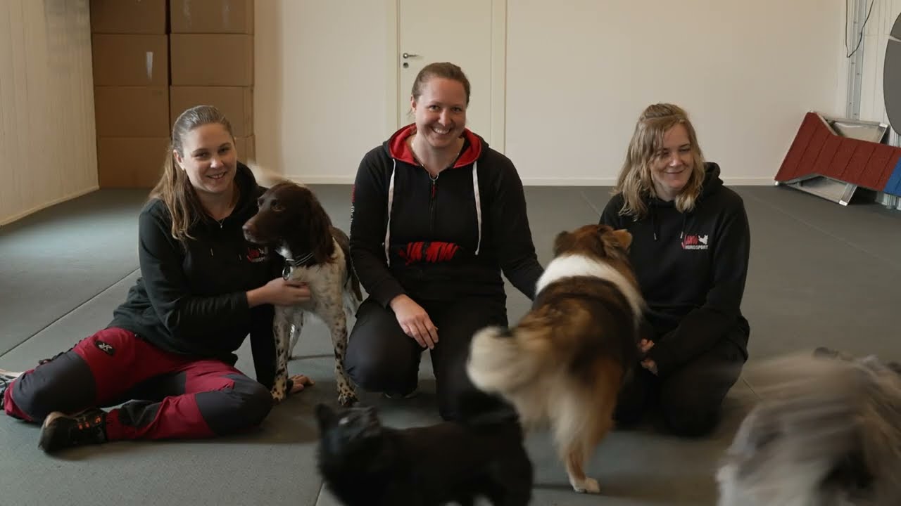 F&ouml;lj oss en dag p&aring; jami hundsport