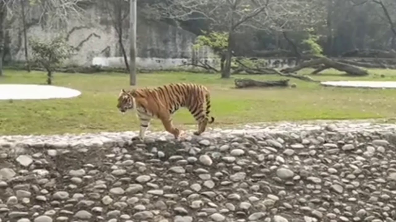 🛑KEEP GRINDING - B Motivational Video