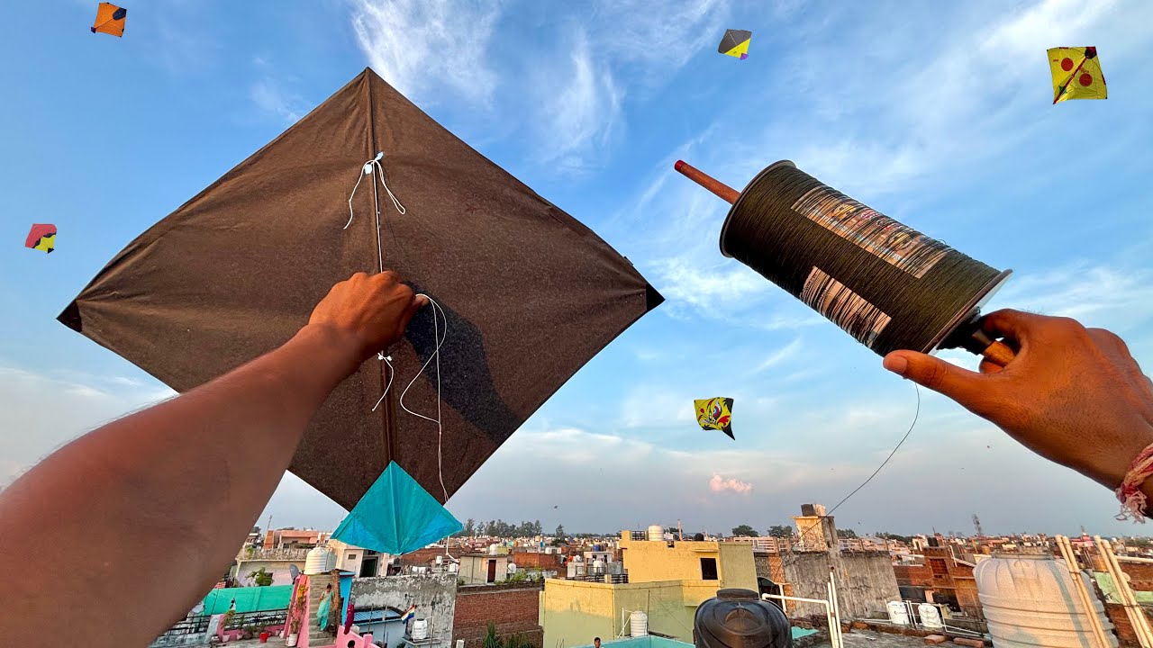Kite fighting On Sunday & kite cutting | kites vlogs | patangbaazi | kite 