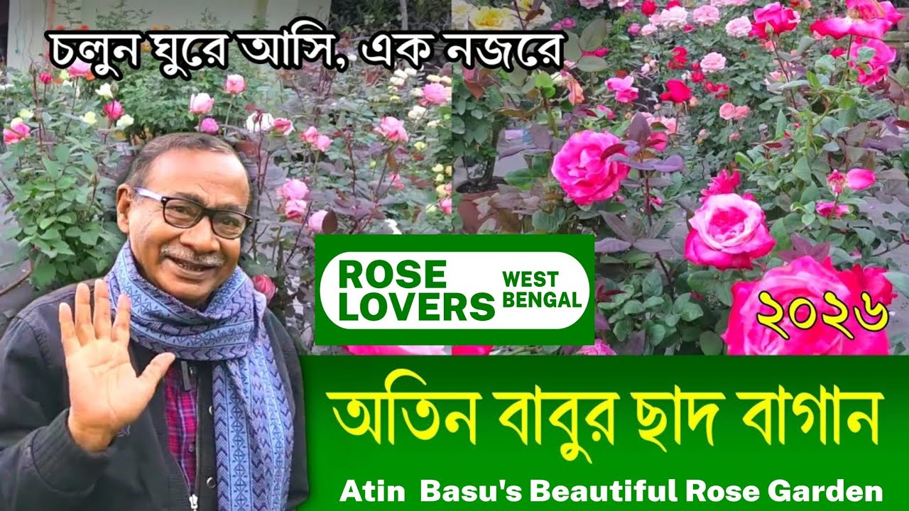 Rose Flower Plants of Rosarian Atin Basu | Rose Lovers | Atin Basu's Roof Garden Roses