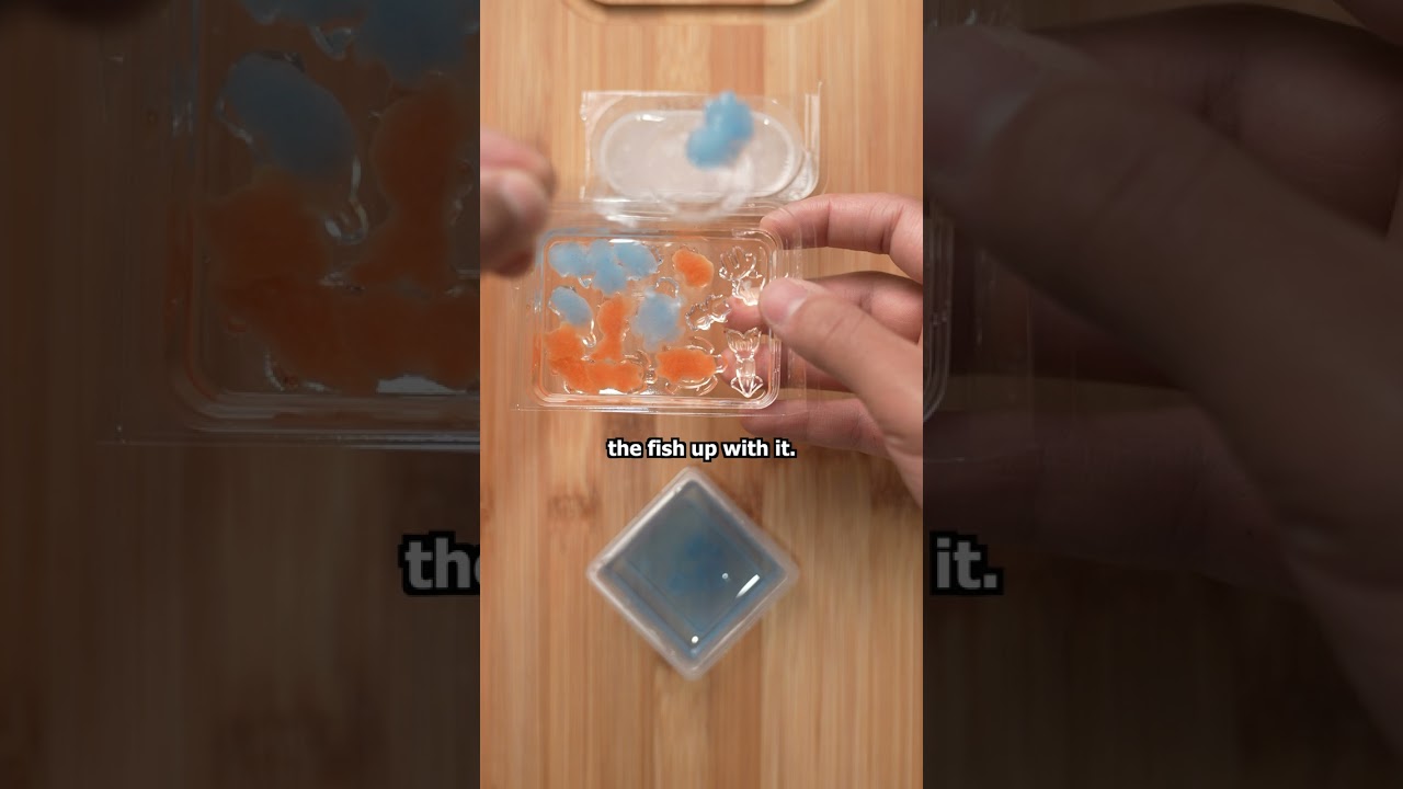 Candy Fishing Kit