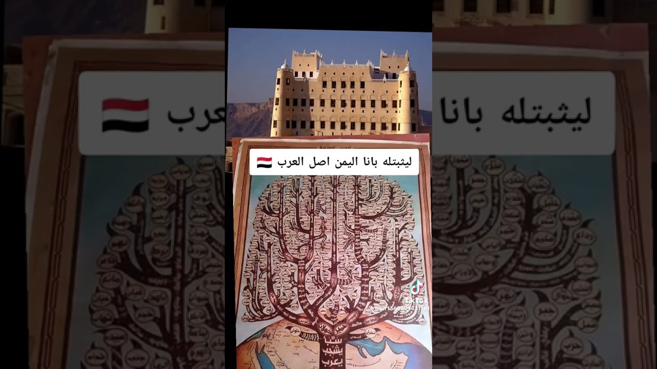 اليمن 🇾🇪 أصل العرب مع الدليل في الكتاب والسنه /حوار بين يمني و سعودي