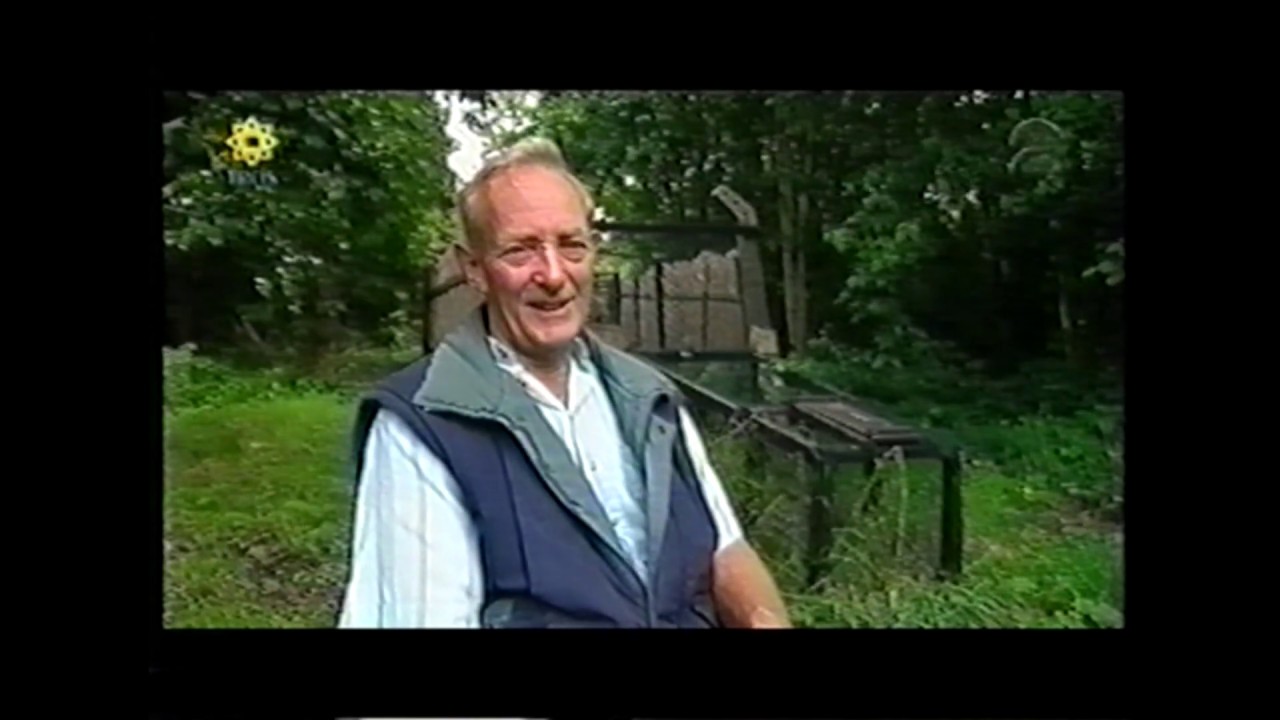 eendenkooi Schipluiden