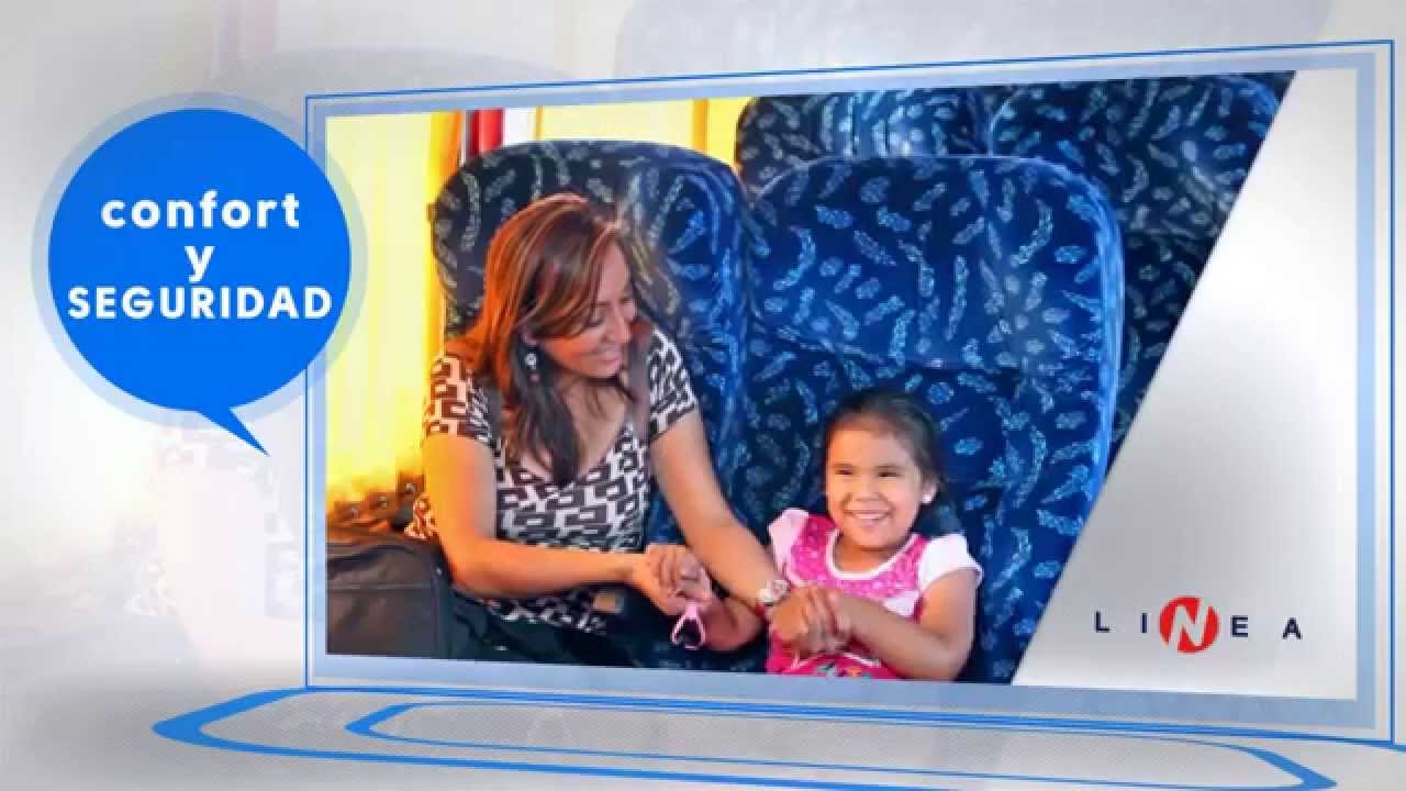 SERVICIO ESPECIAL DE TRANSPORTES LINEA