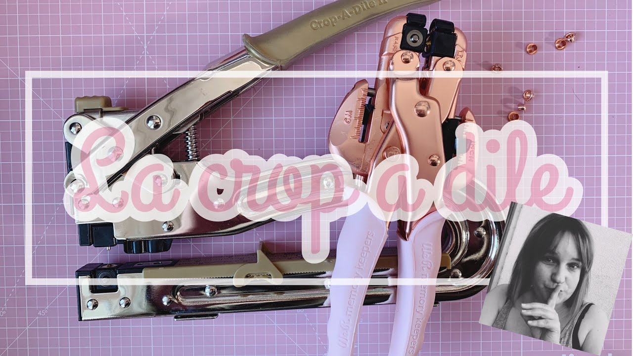 [SCRAP] LA CROP A DILE : A QUOI ÇA SERT ?