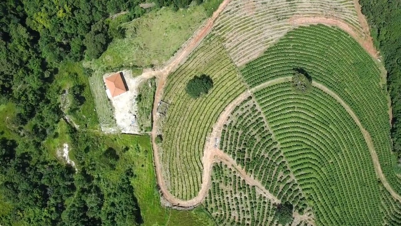 DOMINGÃO FAVORÁVEL PRA VOAR 😎🛸🚀 #hobby #drone #natureza #fimimini3