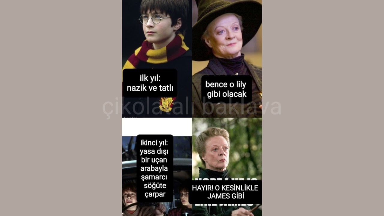 Harry Potter Capsleri 19 - Çikolatalı Baklava