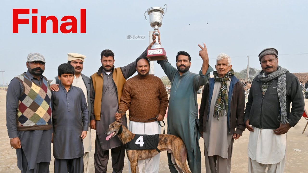 Final Greyhound Derby Race Faisalabad || Chak # 147 RB Chori  