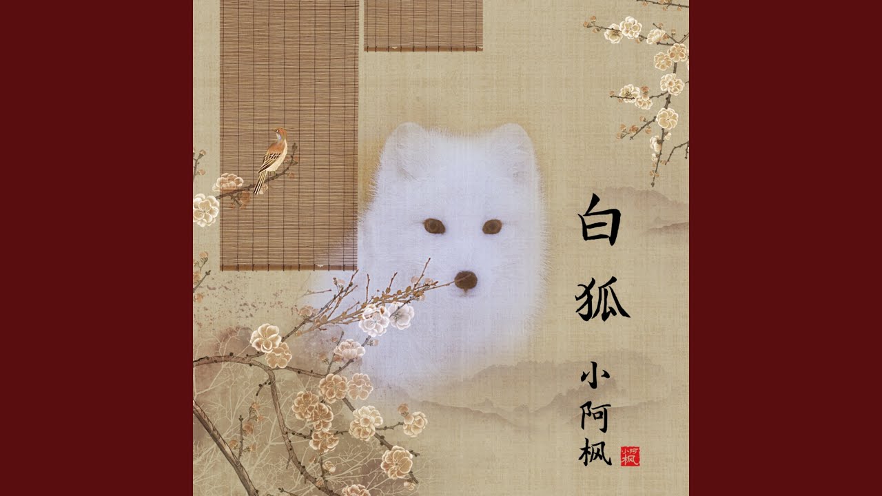 白狐