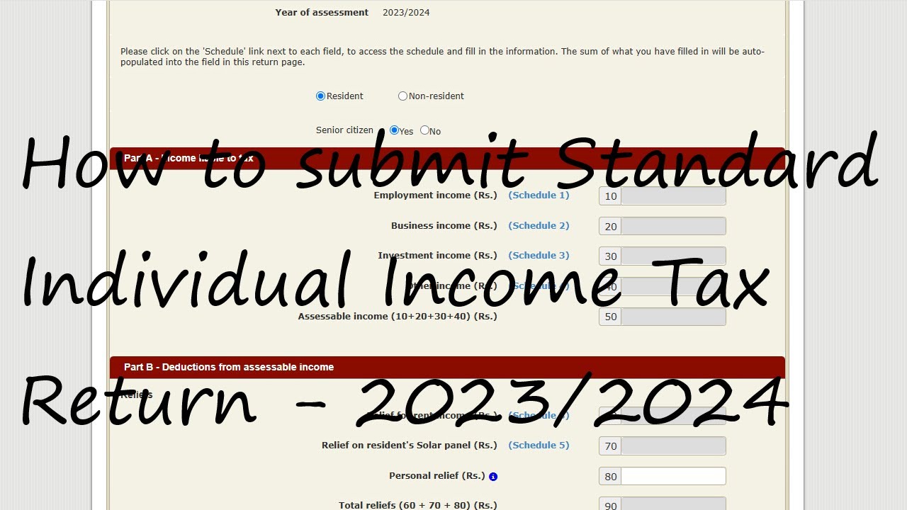 IIT 2023/24 & 2024/25 / How to fill Standard Individual Tax Return  23-24 & 24-25 | SL TAX SOLUTION