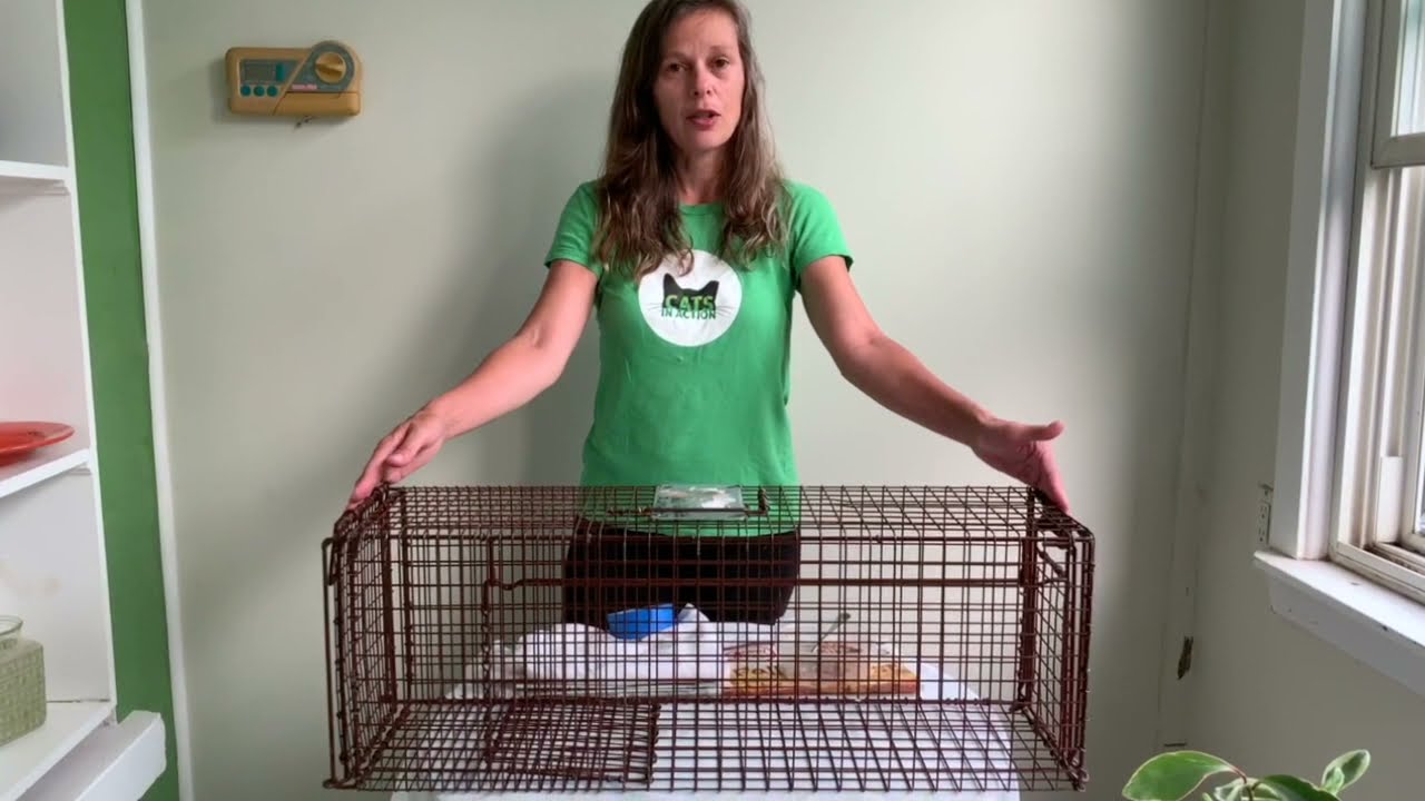 How to set a 30LTD TruCatch Feral Cat Trap