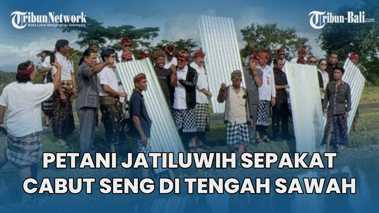Petani Jatiluwih Bali Sepakat Cabut Seng & Plastik di Tengah Sawah, Solusi Ditawarkan Pemkab Tabanan